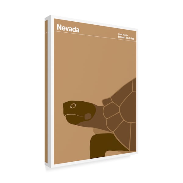 Print Collection - Artist 'Nevada Tortoise' Canvas Art,35x47